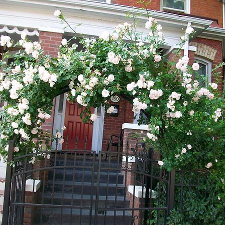 Comfy Guesthouse & Suite Toronto Eksteriør bilde