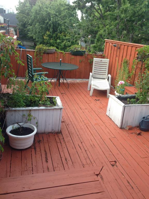 Comfy Guesthouse & Suite Toronto Rom bilde