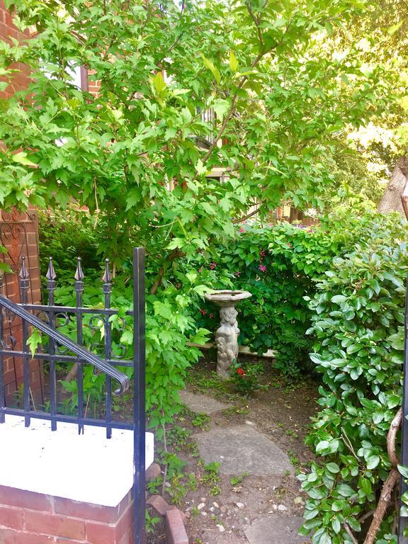 Comfy Guesthouse & Suite Toronto Eksteriør bilde