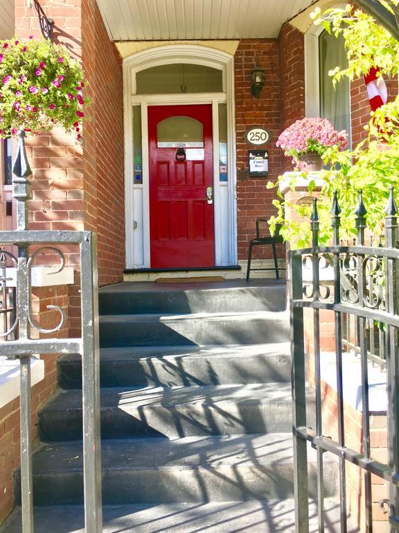 Comfy Guesthouse & Suite Toronto Eksteriør bilde